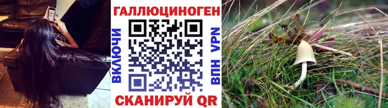 Псилоцибиновые грибы ЛСД  магазин продажи   Фокино 